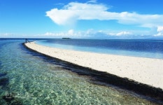 거북이 지키는 영롱한 보물섬...필리핀 보홀