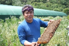 김상순 ‘풀과 나무 꿀벌농장’ 대표 “꿀벌 키우면서 삶의 진실 체득해가는 ‘벌 몽상가’랍니다”