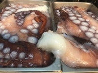 [천운영의 심야 식탁] 문어와 보낸 이틀