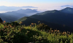 지리산에 국내 최대 정원 개장