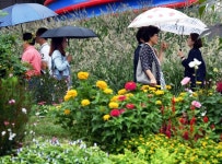 [포토에세이]가을비 우산속