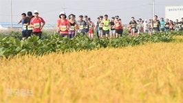[철원DMZ국제평화마라톤]평화 염원 안고… 5000명 황금들녘 질주