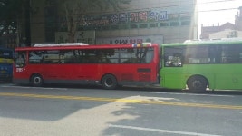 대구서 시내버스 3대가 잇따라 쿵