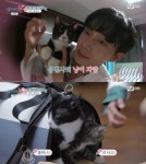 잘봐줘 JBJ 권현빈 김용국 고양이, 너무 귀여워