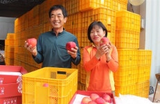 [겨를]버섯재배 덤볐다가 2억 빚… “귀농은 환상 아닌 현실”
