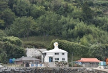 원시림ㆍ꽃천지ㆍ황금 노을…반전매력 쑥섬