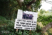 원시림ㆍ꽃천지ㆍ황금 노을…반전매력 쑥섬