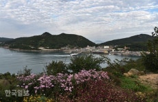 원시림ㆍ꽃천지ㆍ황금 노을…반전매력 쑥섬