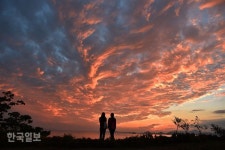 원시림ㆍ꽃천지ㆍ황금 노을…반전매력 쑥섬