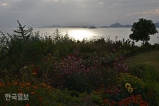 원시림ㆍ꽃천지ㆍ황금 노을…반전매력 쑥섬