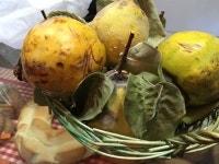 [천운영의 심야 식탁] 잘 익은 모과 한 알에 우정을 실어 보냅니다