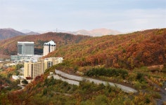 석탄길이 단풍길로…운탄고도 자락에 찬란한 가을