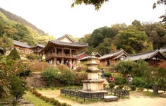 부석사 소수서원 무섬마을…초등 아이와 가을여행