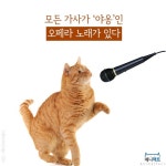 [애니팩트] 모든 가사가 ‘야옹’인 오페라 노래가 있다