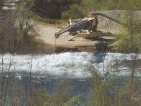 [아하! 생태!] 죽은 연어는 숲이 되어 새끼 연어를 키운대요