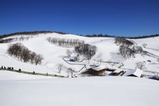 눈과 얼음…평창의 눈부신 잔치는 이미 시작됐다