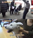 동물농장 옥상 방치견, 겨울 한파에 한달동안 처참한 몰골