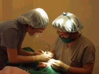 [메디컬 잉글리시] 쌍꺼풀 수술 관련 실전 대화