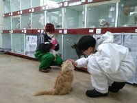 제주서 유기동물 입양하면 진료비 지원