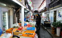 [제주여행] 볼트 EV와 함께 한 모슬포항 둘러보기