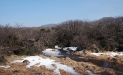 볼트EV와 떠난 제주도 드라이빙 코스 - 1100 도로와 1100 고지 습지