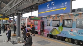 동해선 포항-영덕 열차 대인기