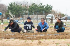 독거 중년남들 텃밭 가꾸며 수다… “외롭지 않아요”