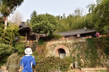 대나무 밀림 속 오솔길 따라 잠시 속세를 잊다