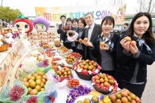 “대저토마토 맛보러 오세요”