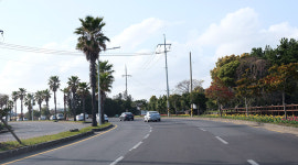 [제주 드라이빙 코스] 매력 넘치는 제주 남쪽 해안길을 거침없이 달리다