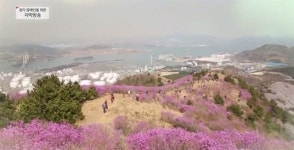 [채널 선택] 전북 진안 커피 청년이 전하는 고향의 미래