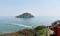 7000만년 전 태어난 한반도 ‘서해 지킴이’… 갈매기들도 경계근무