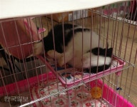 [토끼랑 산다] “깊은 산속 옹달샘 누가 와서 먹나요”