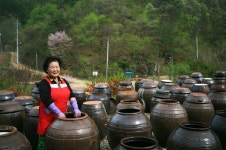 원시의 비경 육지 속 섬…화천 비수구미 마을