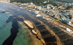 태안 기름유출 사고 10년 백서 나온다