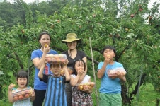 김천 포도ㆍ자두, 글로벌 명품으로