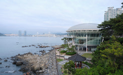 [QM6 시승여행] QM6를 시승하며 찾은 장소, 부산 동백공원