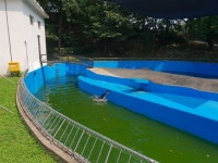 달성공원 동물가족 최고 인기 피서법은 ‘탁족’