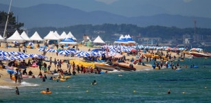 평창올림픽 끝나도 강릉 KTX효과 ‘톡톡’