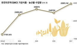 볼 수 없게, 알 수 없게… GMO의 ‘숨바꼭질’