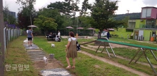 [겨를] “반려견 놀이터가 있어요” 너도나도 동반 나들이