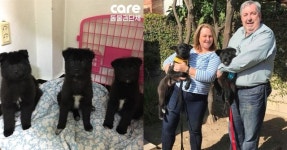 다음 명절은 집에서 보내길… 보호소서 개농장에 팔려가던 ‘새나’