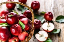 스치듯 지나가는 빨간 사과를 붙잡고 싶다면 불을 더해라