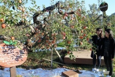 후지사과 원조 농장을 아시나요?