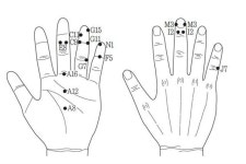 [유태우의 서금건강법] 기감봉으로 E3ㆍI2ㆍM3 자극하면 대뇌 혈류 조절되며 잡념 날아가