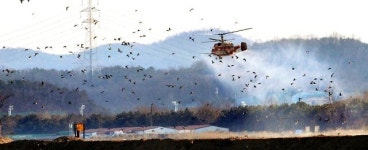 군산 금강호ㆍ서천 저수지 야생조류 분변서 AI 바이러스 검출