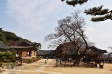 대웅전 기둥마다 병사 이름 빼곡…병인양요 역사가 고스란히