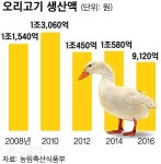 [먹거리사전] 겨울만 되면 비싸지는 오리, 사시사철 건강식 무색