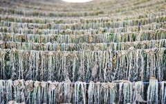 [자박자박 소읍탐방]돼지전설 깃든 펀치볼…을지전망대엔 남북 긴장 여전