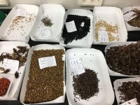 [아하!생태!] 토양은 종자은행… 연못가 진흙 세 숟가락서 537개 식물 싹 틔워